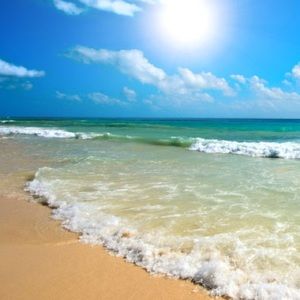 Meet your Posher, Veronica